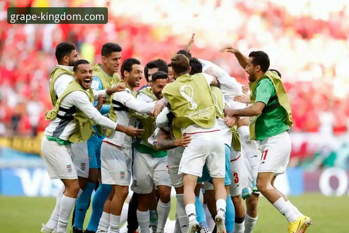 世界杯绝杀之夜观赛指南：民主刚果52年重返舞台全纪录