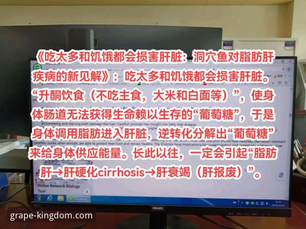 新葡萄娱乐APP官方下载安全吗 5个关键维度评测:新葡萄娱乐APP官方下载安全性深度分析
