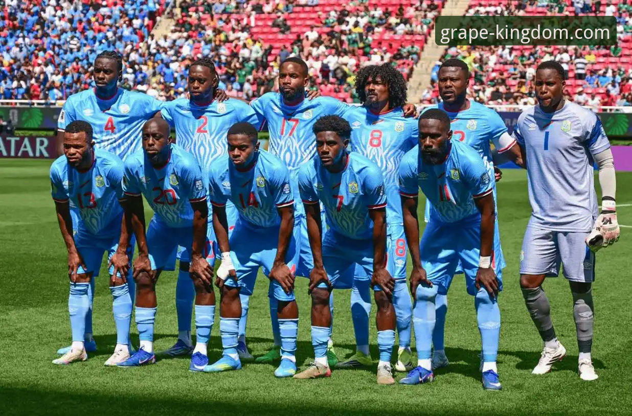 世界杯绝杀之夜观赛指南：民主刚果52年重返舞台全纪录