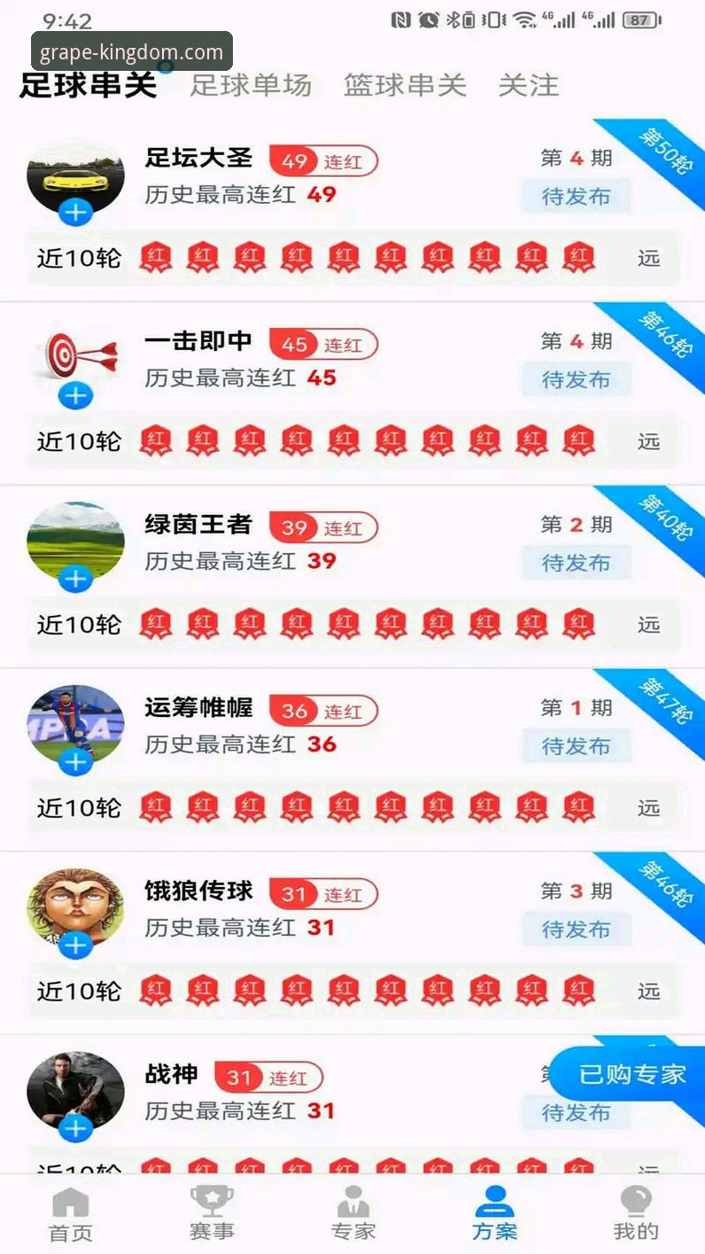 新葡萄娱乐APP技术支持 新葡萄棋牌平台技术支持深度分析:从下载到体验的全面解析